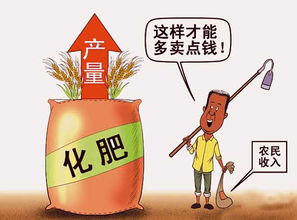 合理使用化肥，實(shí)現(xiàn)增產(chǎn)增收的關(guān)鍵策略